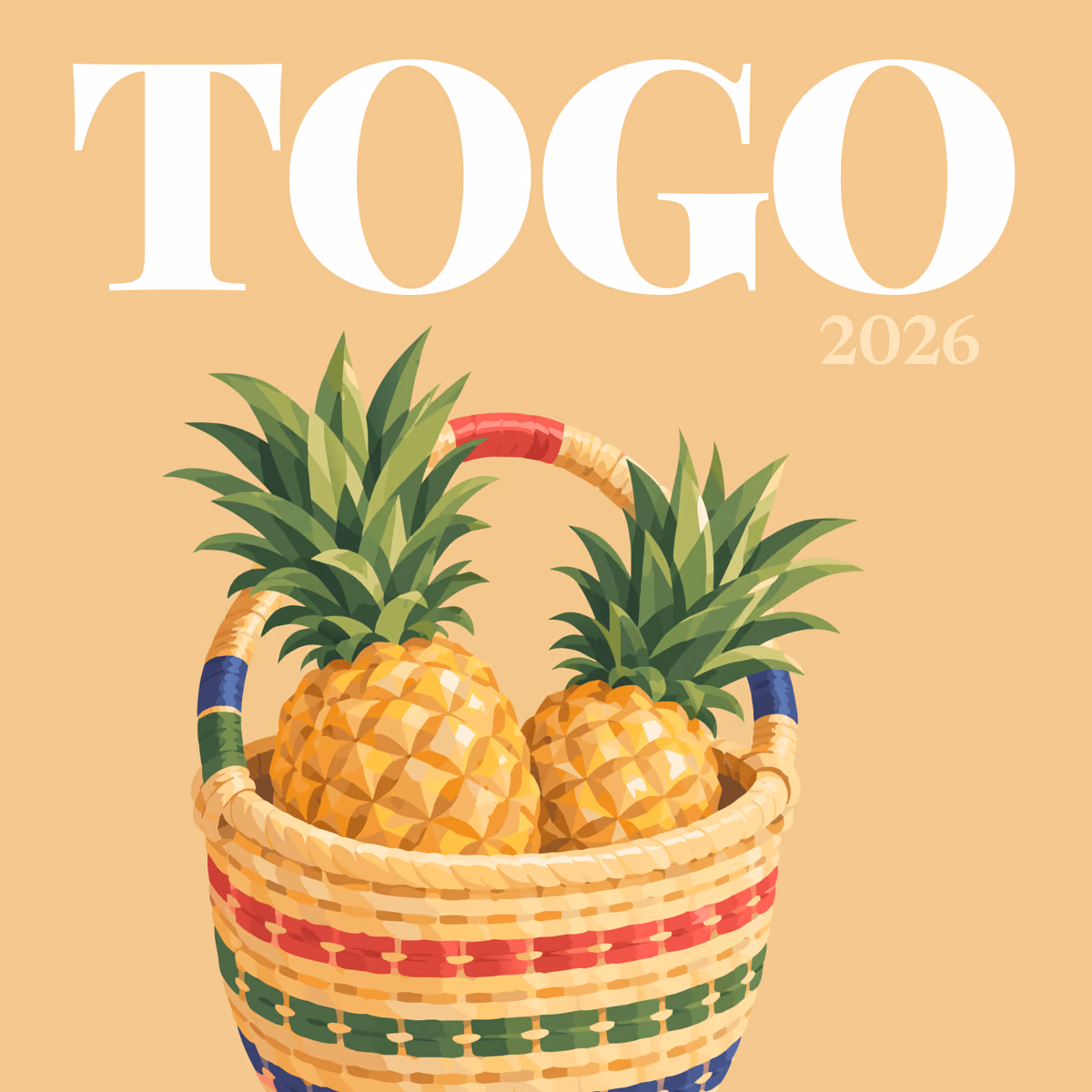 Togo illustrated square photo book cover with the woven market basket artwork