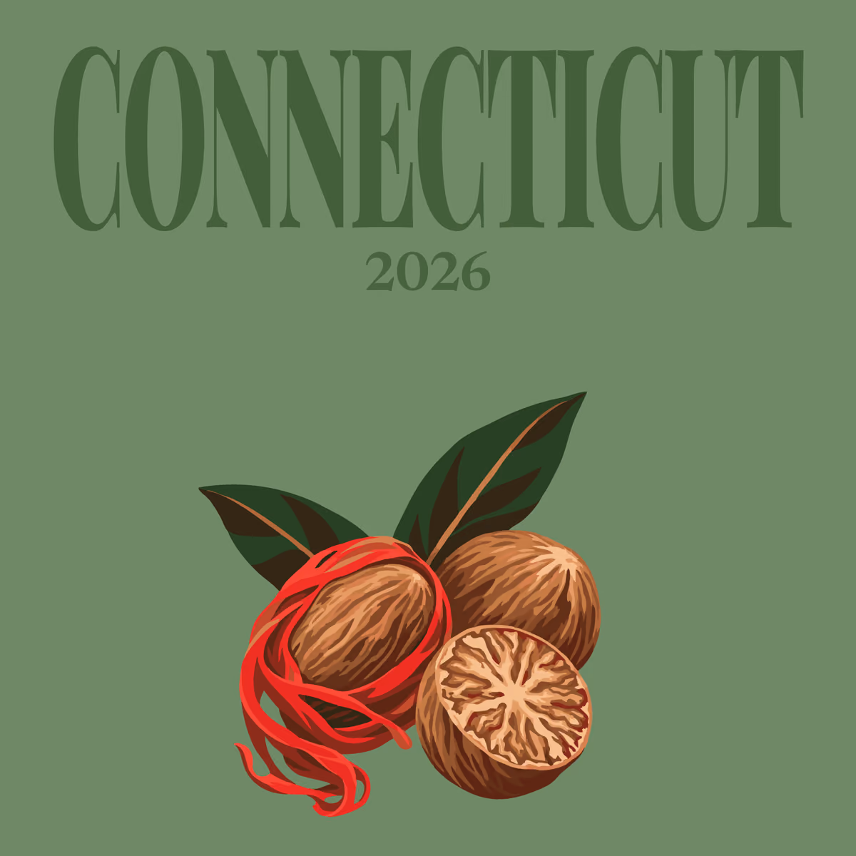 Connecticut illustrated square photo book cover with nutmegs on green