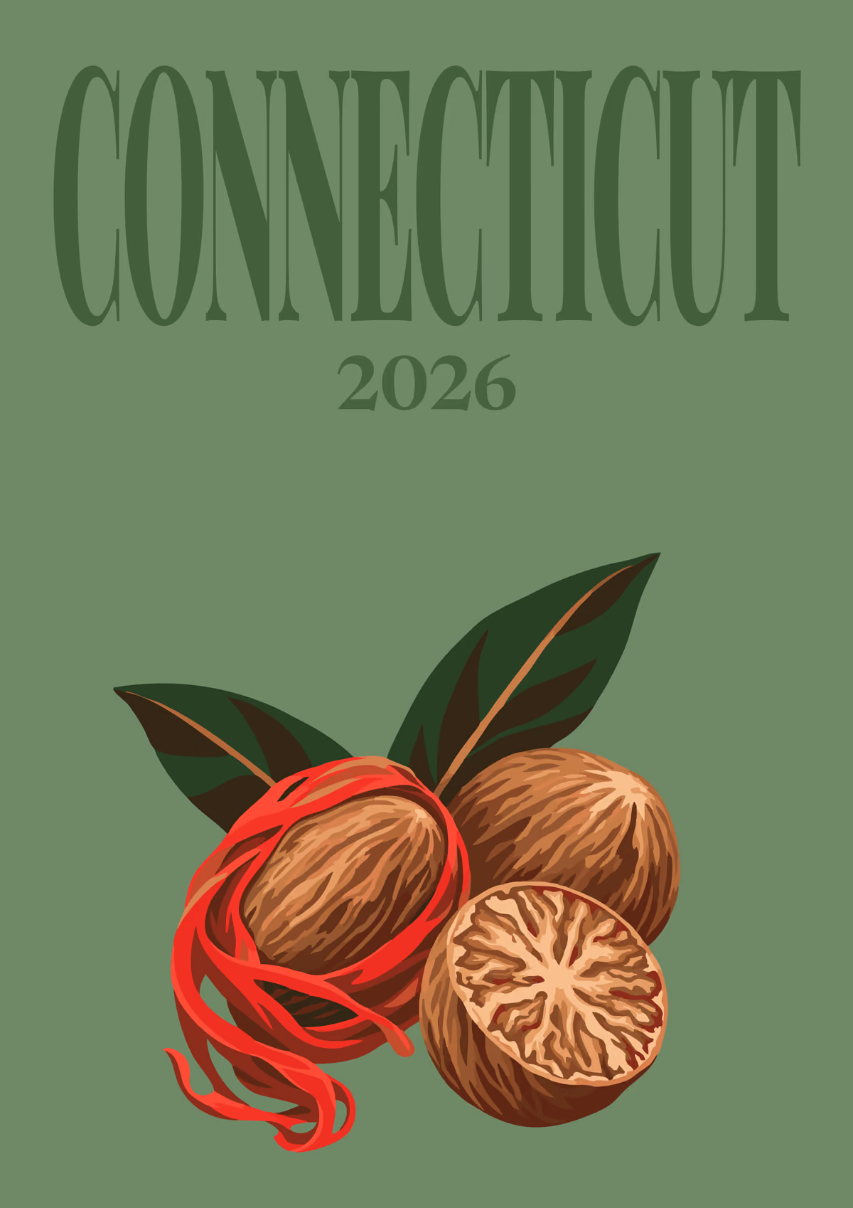Connecticut illustrated travel photo book cover with nutmegs on green