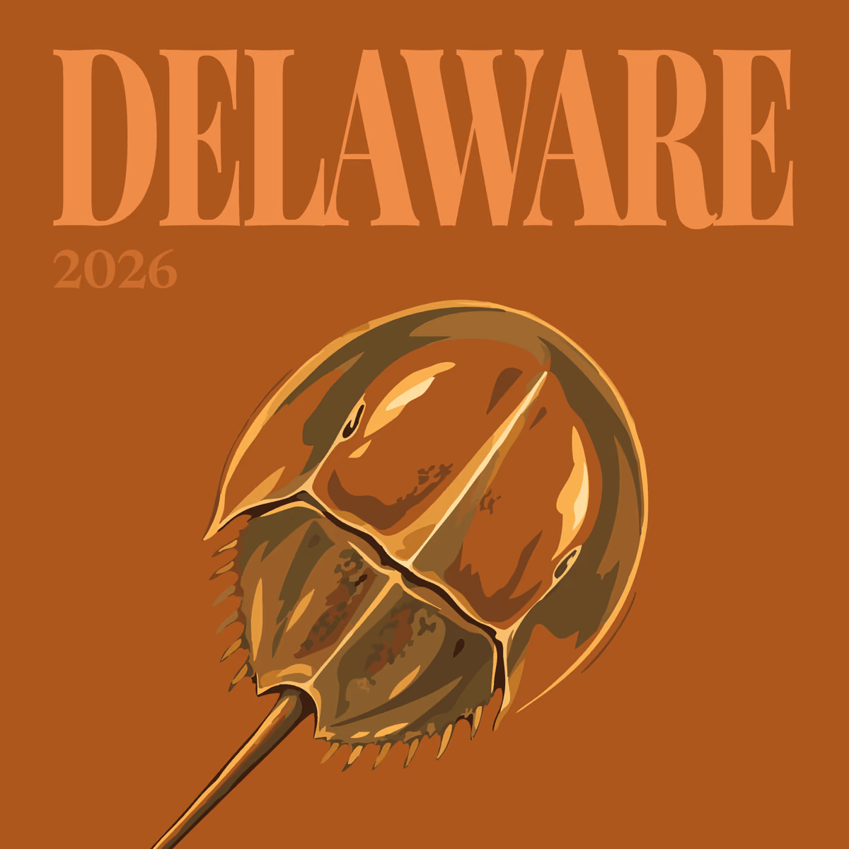 Delaware illustrated square photo book cover with a horseshoe crab on brown