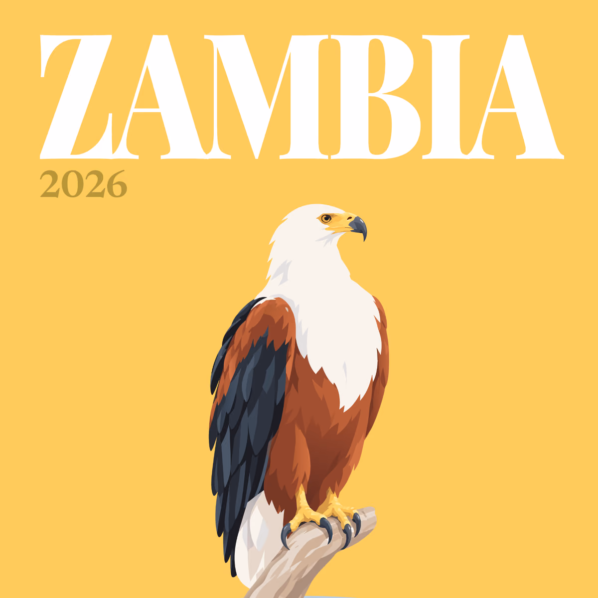 Zambia illustrated square photo book cover with the African fish eagle artwork