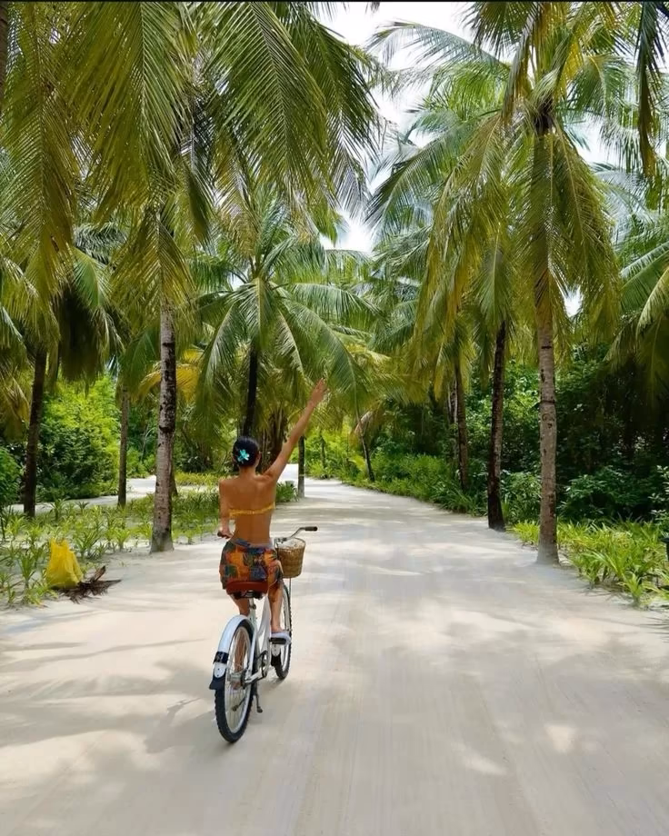 A woman cycling along a tropical road lined with palm trees
