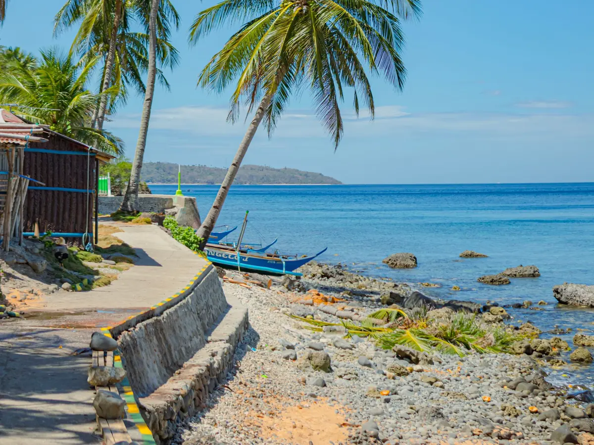 Palm trees and a fishing boat beside a peaceful tropical shoreline