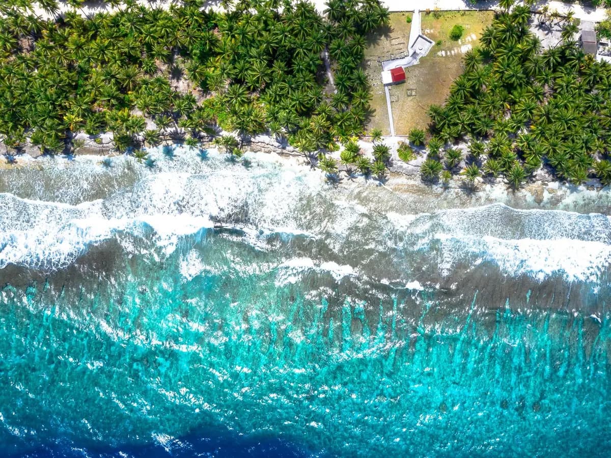 Aerial view of turquoise ocean waves meeting a palm-lined tropical shore