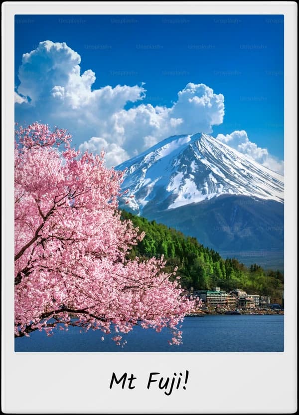 TripMemo app features showing a Mount Fuji and cherry blossom Polaroid inside a Japan TripBook