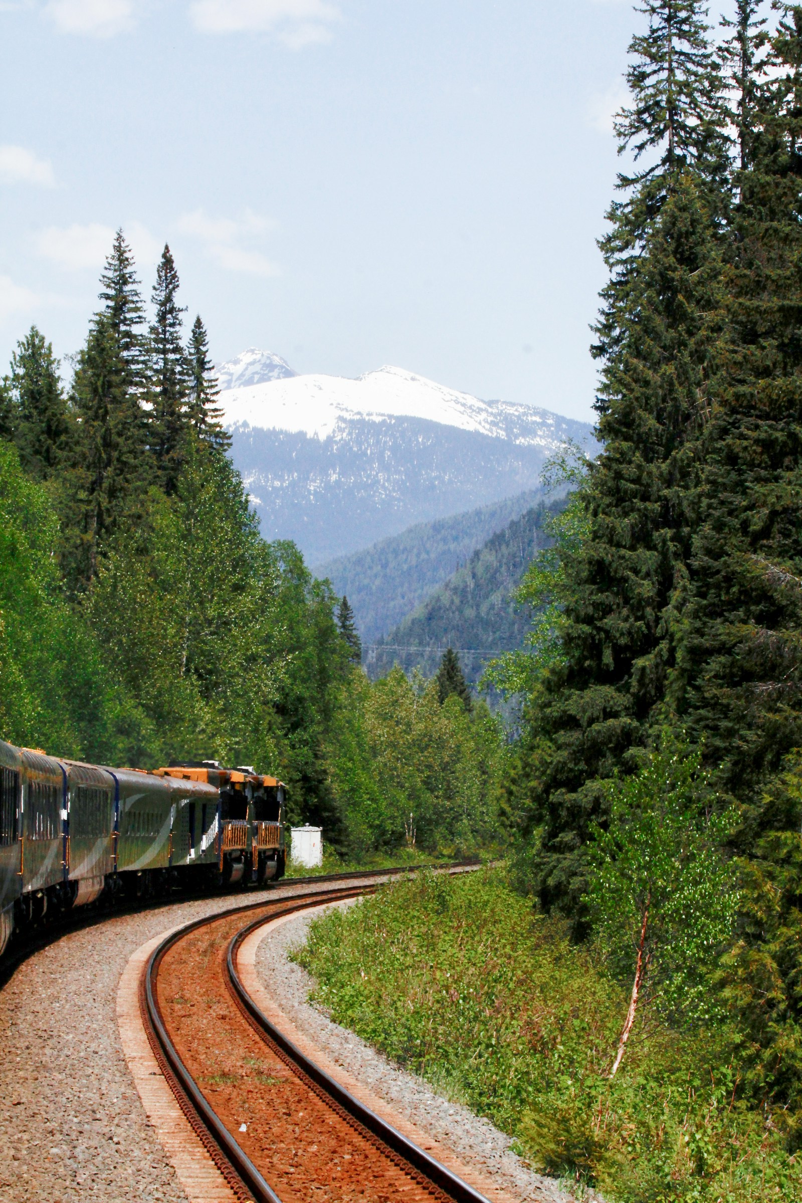 Rocky Mountaineer train passing through forest in the Canadian Rockies