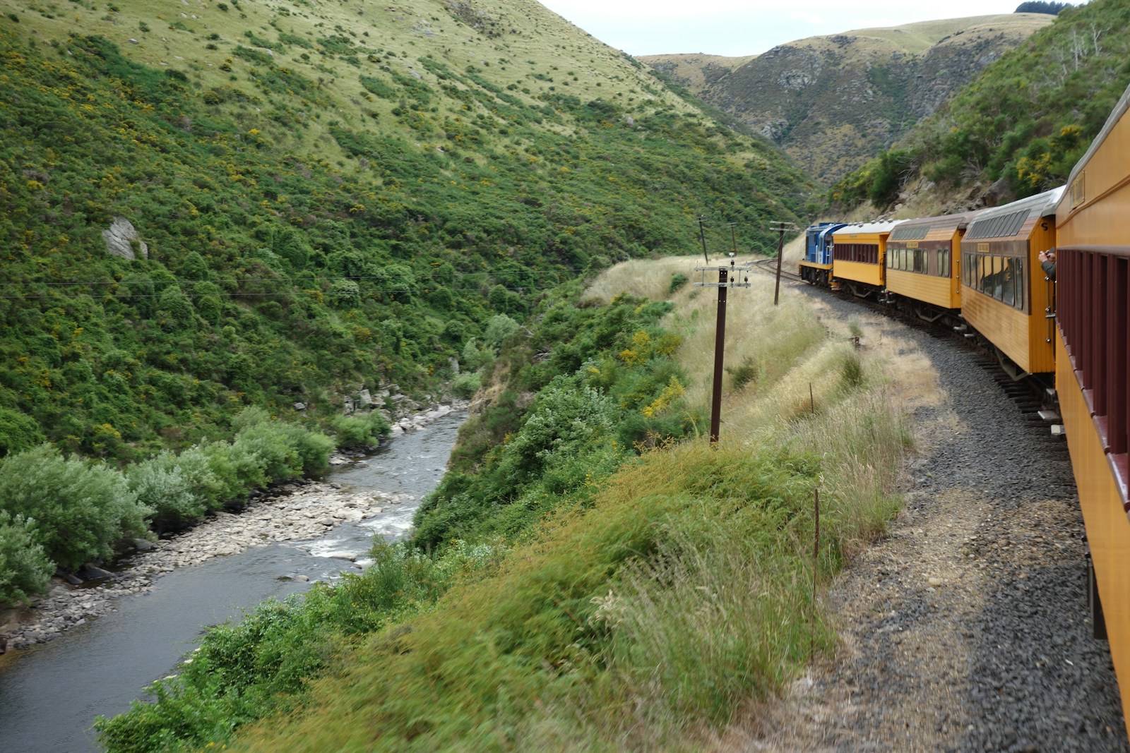 Train travelling through green New Zealand countryside toward the mountains