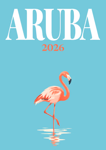 Aruba illustrated travel photo book cover with the flamingo artwork in teal