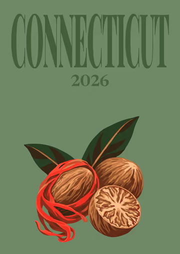 Connecticut illustrated travel photo book cover with nutmegs on green