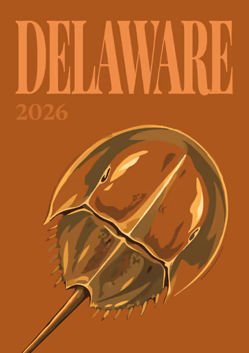 Delaware illustrated travel photo book cover with a horseshoe crab on brown